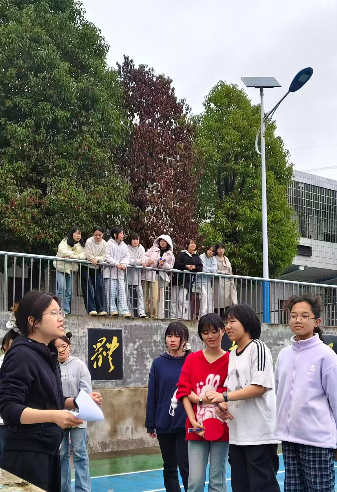 “乒”搏奋进，谁“羽”争锋